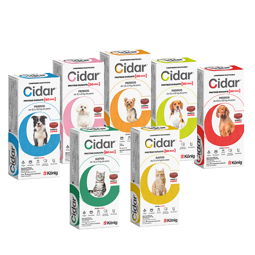 Cidar