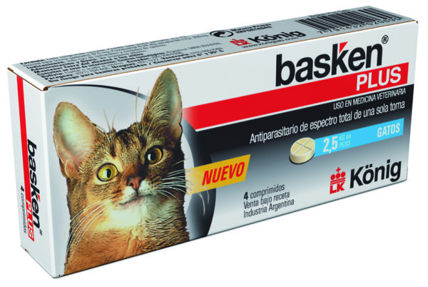 Basken Plus Gatos