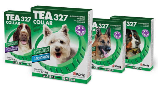 Tea 327 Collar for Dogs